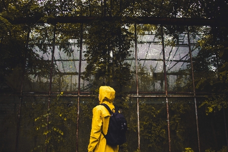 Photo Homme arbre lumière bois