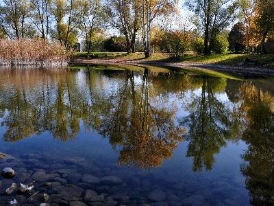 Photo Paysage arbre eau nature