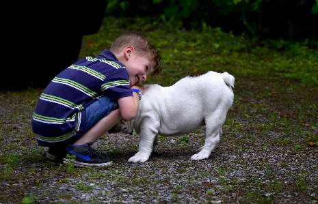 Boy puppy dog pet Photo