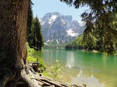 Foto Paisaje árbol agua naturaleza