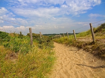 Beach landscape sea path Photo