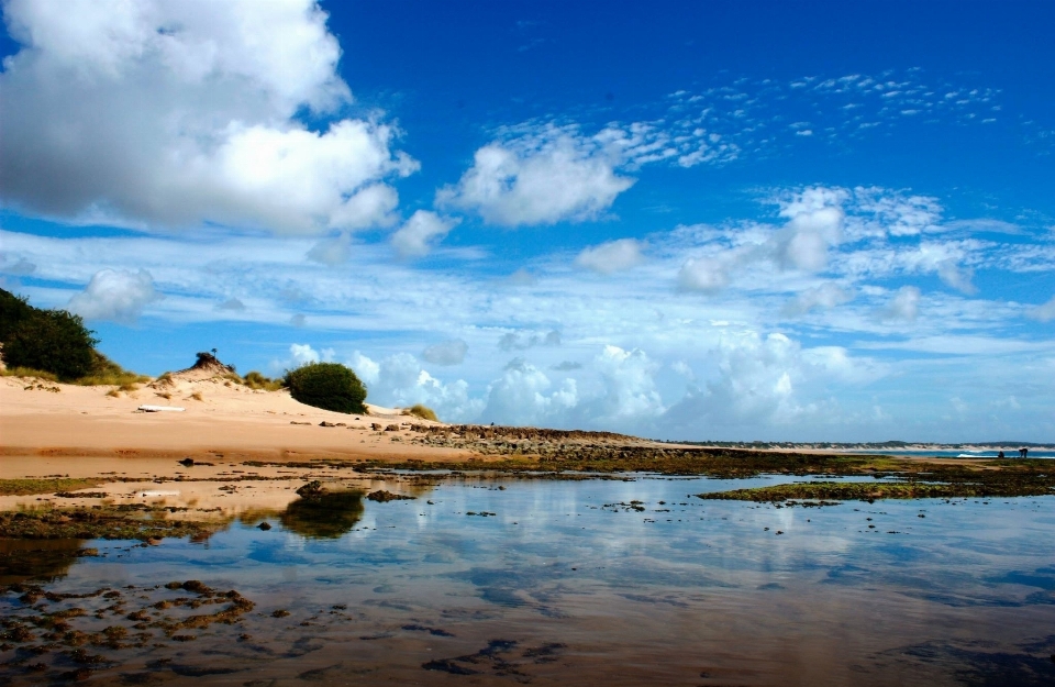 Praia paisagem mar costa