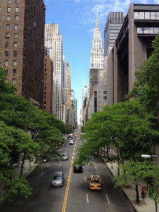 Tree architecture sky road Photo