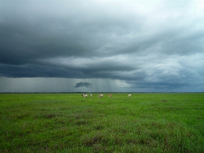 Landscape nature grass outdoor Photo