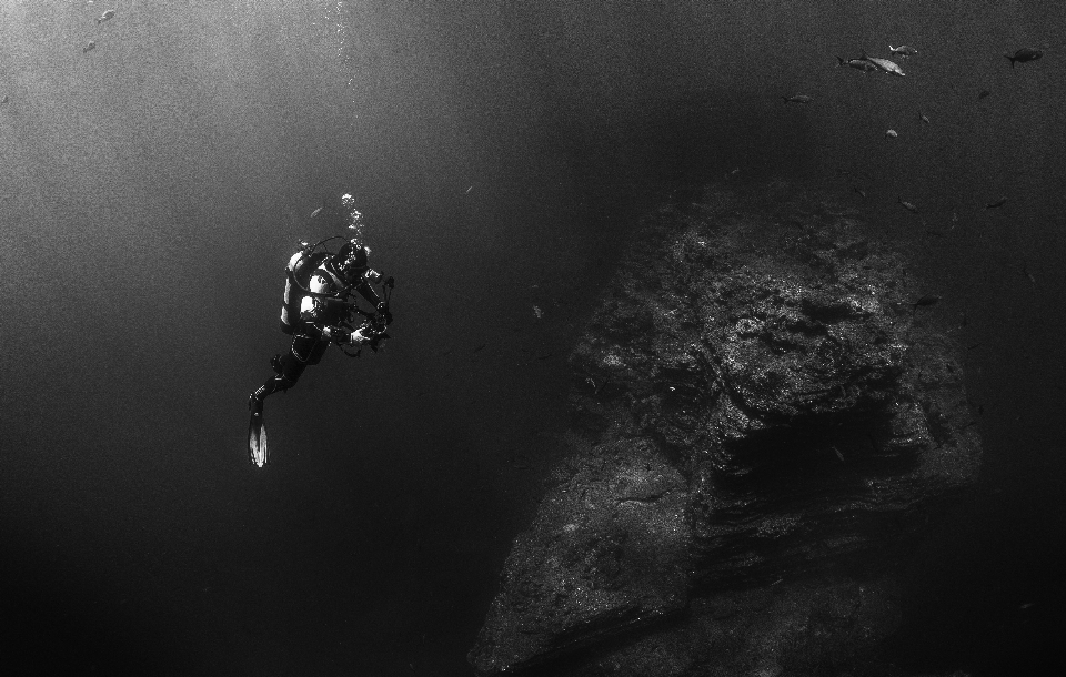 Mar água oceano luz