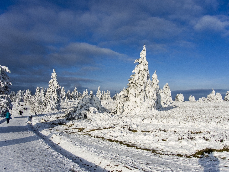 Paesaggio natura montagna nevicare