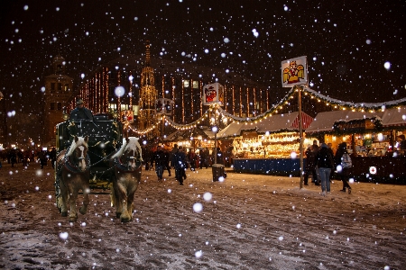 Snow winter night crowd Photo