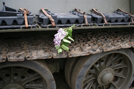 Foto Auto ruota militare esercito