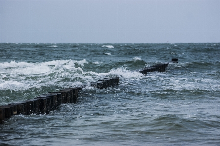 Beach sea coast water Photo