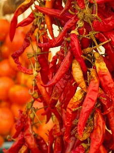 Plant fruit orange food Photo