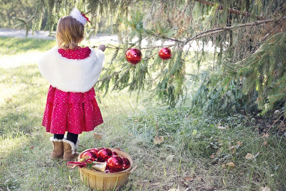 Albero pianta ragazza foglia