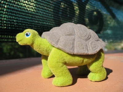 Turtle reptile toy fauna Photo