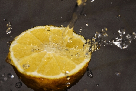 Water plant fruit orange Photo