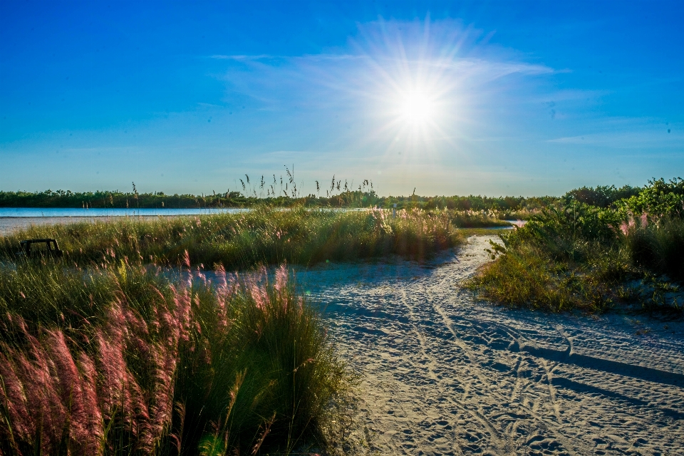 Beach landscape sea coast