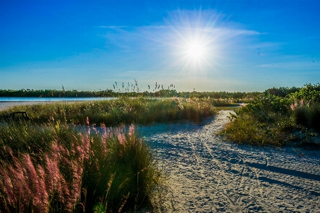 Beach landscape sea coast Photo