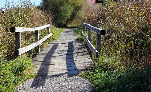 Photo Eau nature herbe promenade