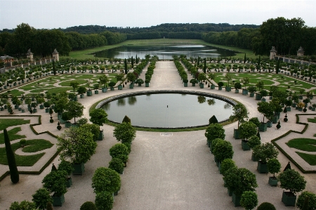 Foto Fiore francia sobborgo parco