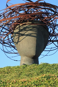 Tree abstract wind tower Photo