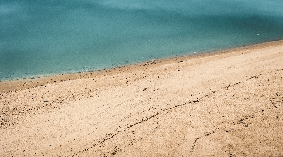 Beach sea coast water