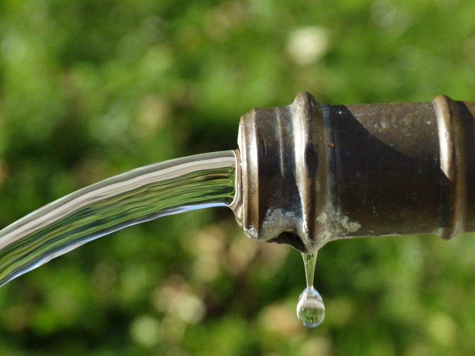 Wasser flüssig blatt klar