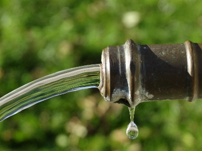 水 液体 葉 クリア 写真