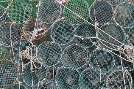 Fence food mediterranean fishing Photo