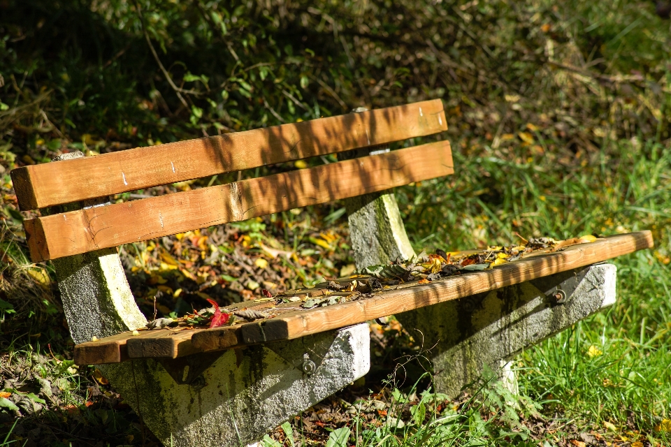 Natura erba all'aperto legna