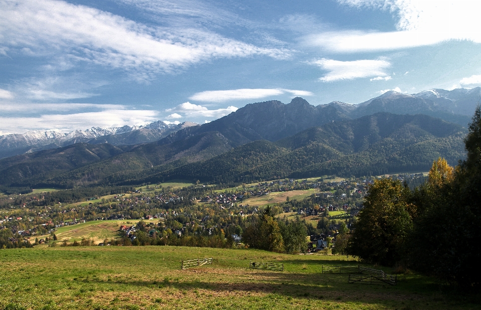 Paesaggio albero natura montagna