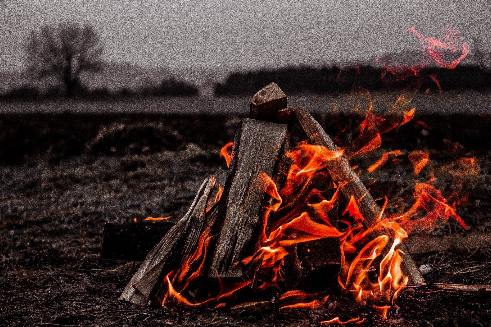 Fire soil campfire bonfire