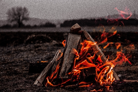 Fire soil campfire bonfire Photo