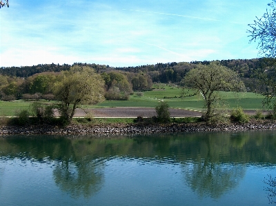 Landscape tree water nature Photo