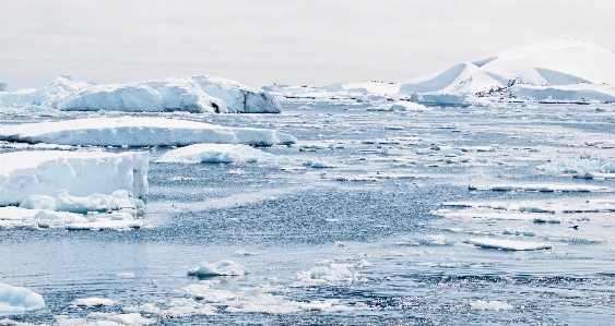 Landscape sea water nature Photo