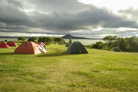 Grass meadow pasture iceland Photo