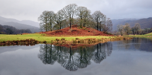 Landscape tree water nature Photo