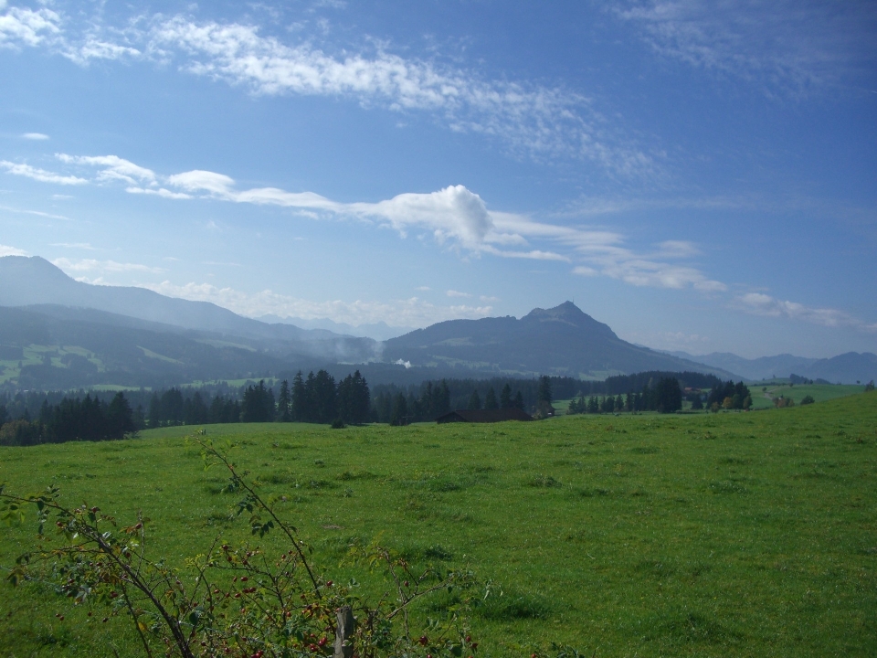 Landschaft natur gras horizont