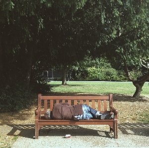 Man table tree outdoor Photo