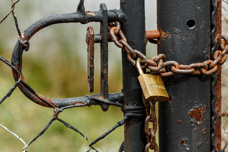 Branch fence wood chain