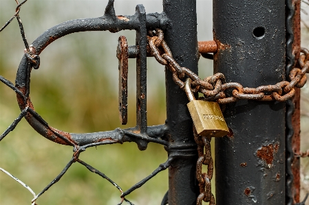 Branch fence wood chain Photo