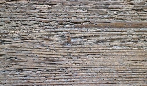 Structure board wood grain Photo