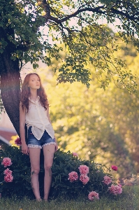 Tree plant girl sun Photo