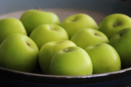 Apple anlage frucht essen Foto