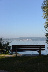 Landscape sea tree water Photo