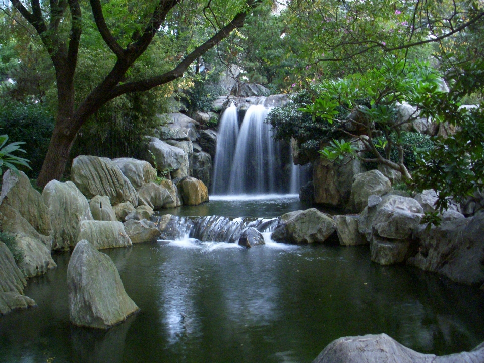 水 森 滝 花