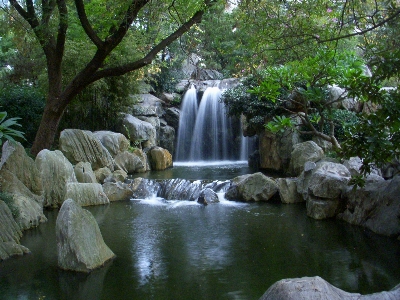 水 森 滝 花 写真