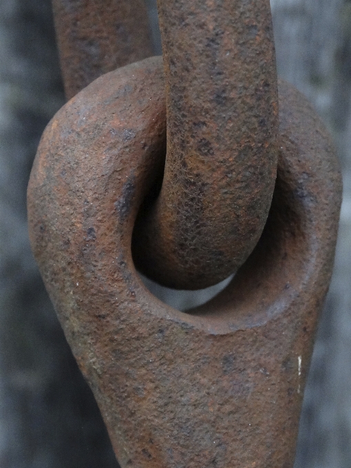 Holz ring kette statue