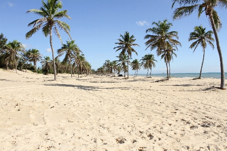 Foto Praia mar costa areia