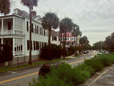 Tree architecture road street Photo