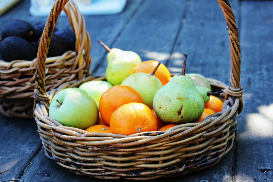 Apple plant fruit sweet