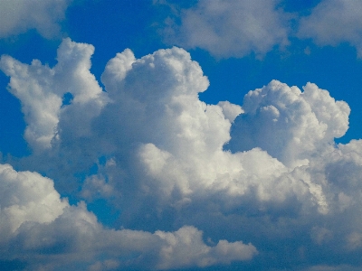 Cloud sky white cloudy Photo