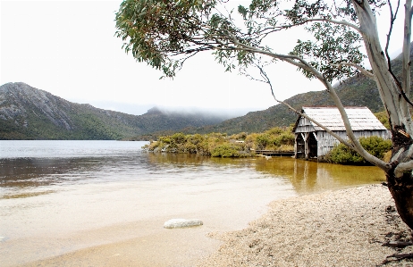 Beach water outdoor wood Photo